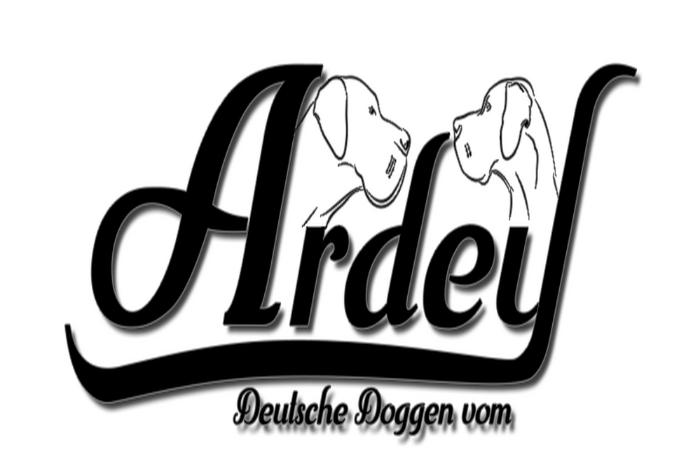 Ardey Logo 1000