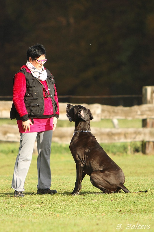 Pina EP Dortmund 21 11 15 08