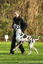 EP Dortmund 21 11 15 02