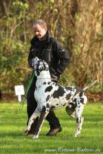 EP Dortmund 21 11 15 03