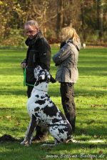 EP Dortmund 21 11 15 06