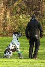 EP Dortmund 21 11 15 07