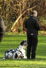 EP Dortmund 21 11 15 09