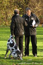 EP Dortmund 21 11 15 16