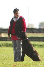 Pina EP Dortmund 21 11 15 01