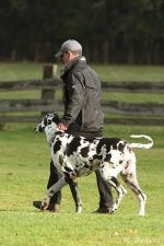 UP1 Ascheberg 30 10 16 02