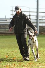 UP1 Ascheberg 30 10 16 10