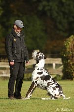 UP1 Ascheberg 30 10 16 20