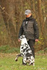 UP1 Dortmund 26 11 16 14