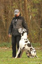 UP1 Dortmund 26 11 16 15