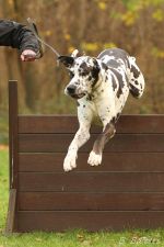 UP1 Dortmund 26 11 16 18